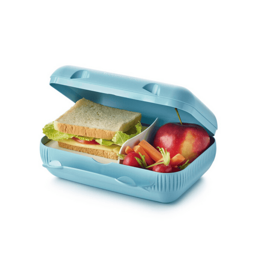 Tupperware Eco+ At Lunch Box Dolphin