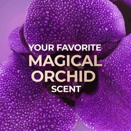 Lux Body Wash Magical Orchid 1920, 100 Years Limited Edition, 500ml