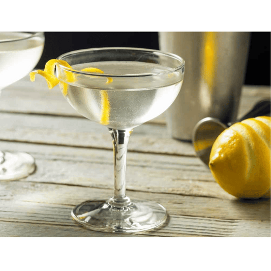 Martini Xtra Dry Vermouth, 100cl