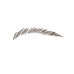 Avon Color Trend Brow Pencil