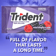 Trident Sugar Free Mixed Berries Gum 8g, 5 pcs