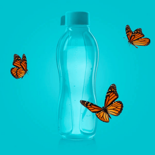 Tupperware Eco Bottle 500ml - Edd Carr. Sea