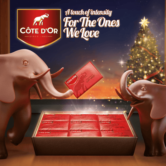 Cote D'Or Mignonettes Christmas Coffret Milk & Noir x48