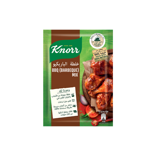 Knorr Barbecue Mix Powder 29g