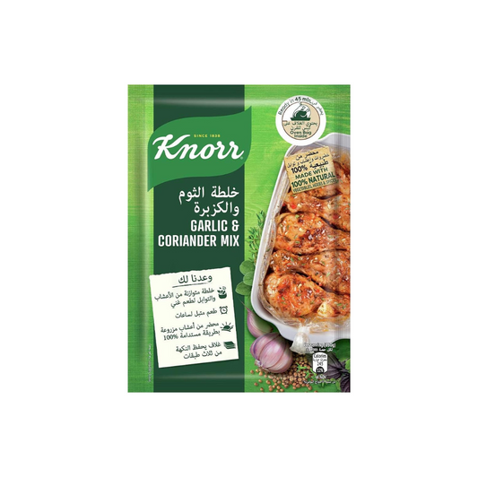 Knorr Garlic & Coriander Mix Powder 34g