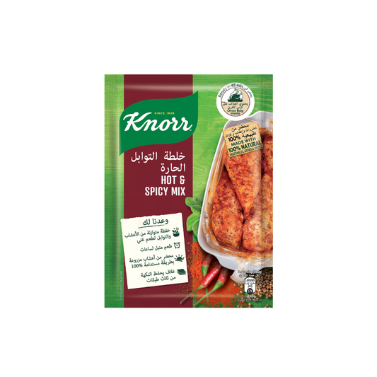 Knorr Hot Spicy Mix Powder 31g