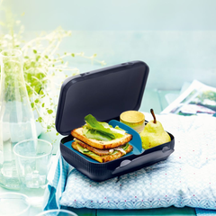 Tupperware Eco+ Lunch Box Artc Night