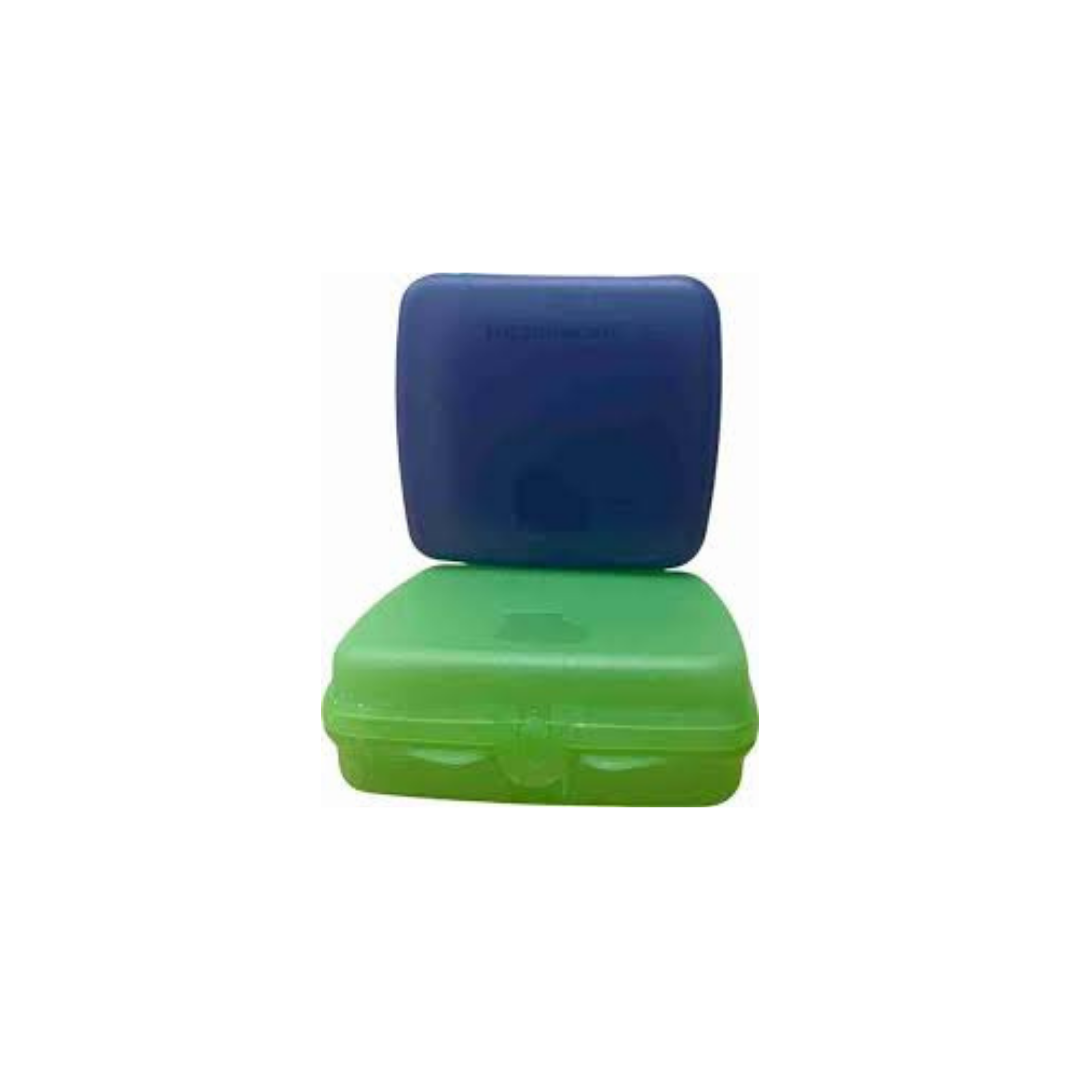 Tupperware 2 Sandwish Keeper Blue & Green