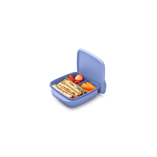 Tupperware Divided Lunch Box Square Sorbet 550ml