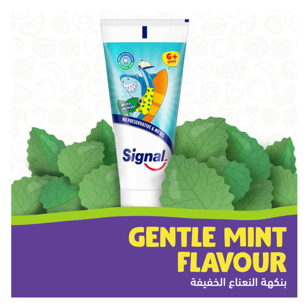Fat Toothpaste Fattal Online - Buy Signal Toothpaste Kids 6Years+ Mint Junior 50ml in ...
