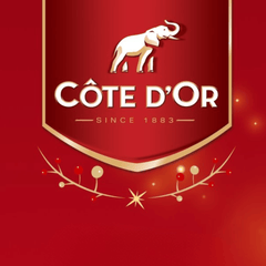 Cote D'Or Mignonettes Milk & Dark Christmas Ball 120g, 12 mini tablets