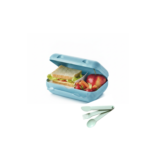 Tupperware Lunch Box + Cultery Set Bundle