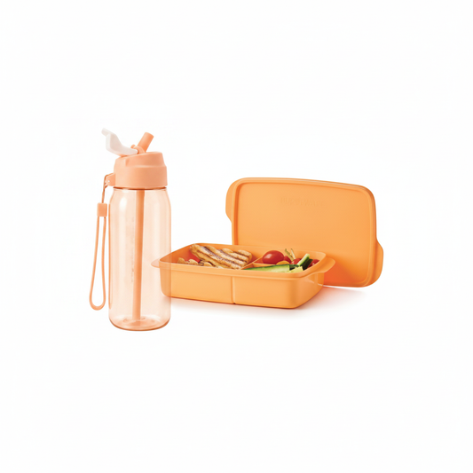 Tupperware Lunch Box + Flask Bundle