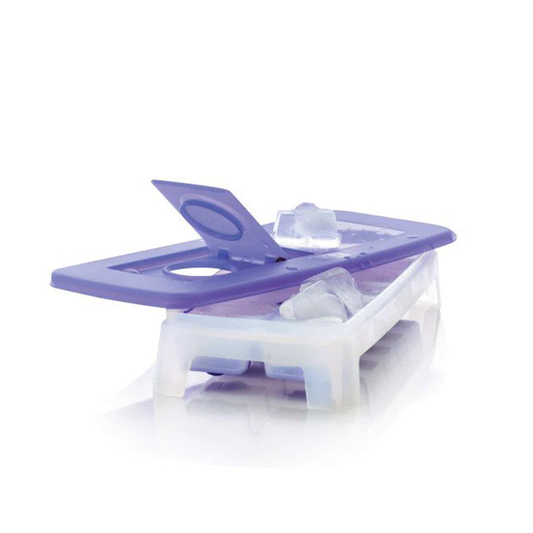 Tupperware Cool Cubes - Berry Bliss